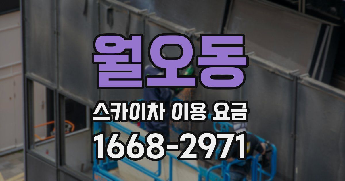 월오동 스카이차 이용 요금