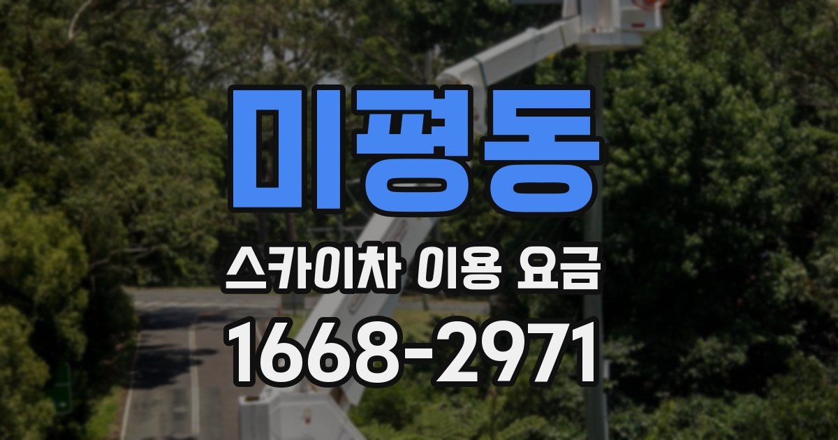 미평동 스카이차 이용 요금