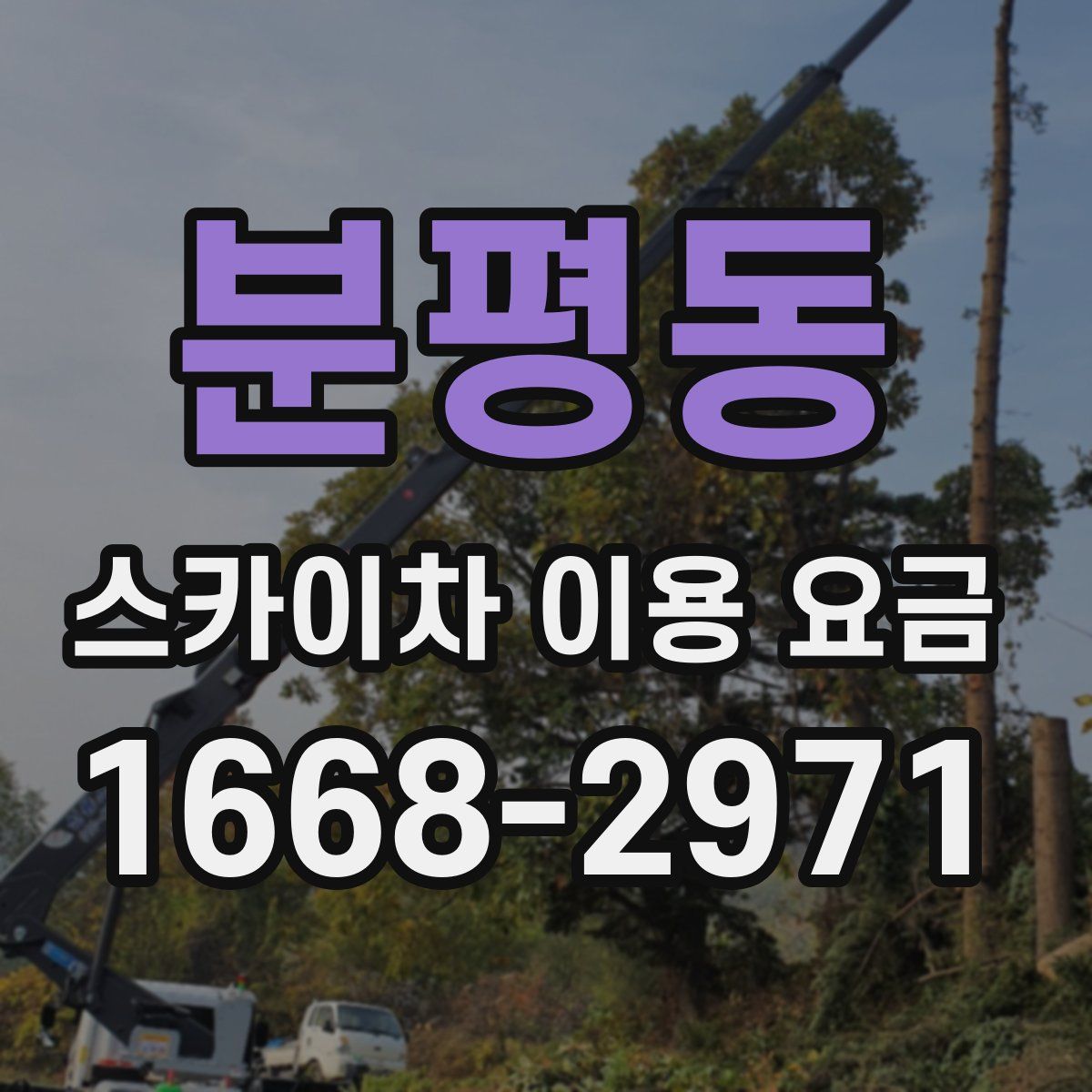 분평동 스카이차 이용 요금