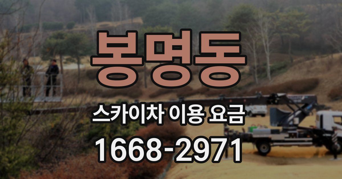 봉명동 스카이차 이용 요금