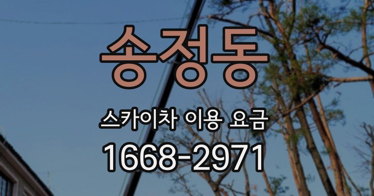 송정동 스카이차 이용 요금