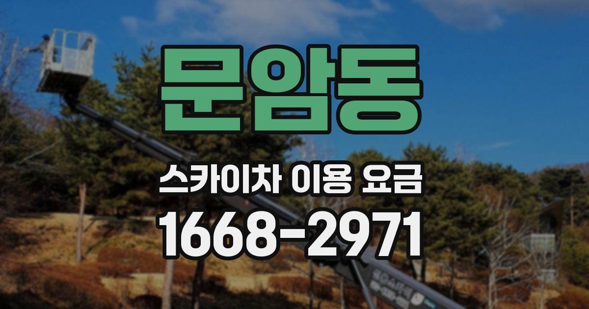 문암동 스카이차 이용 요금
