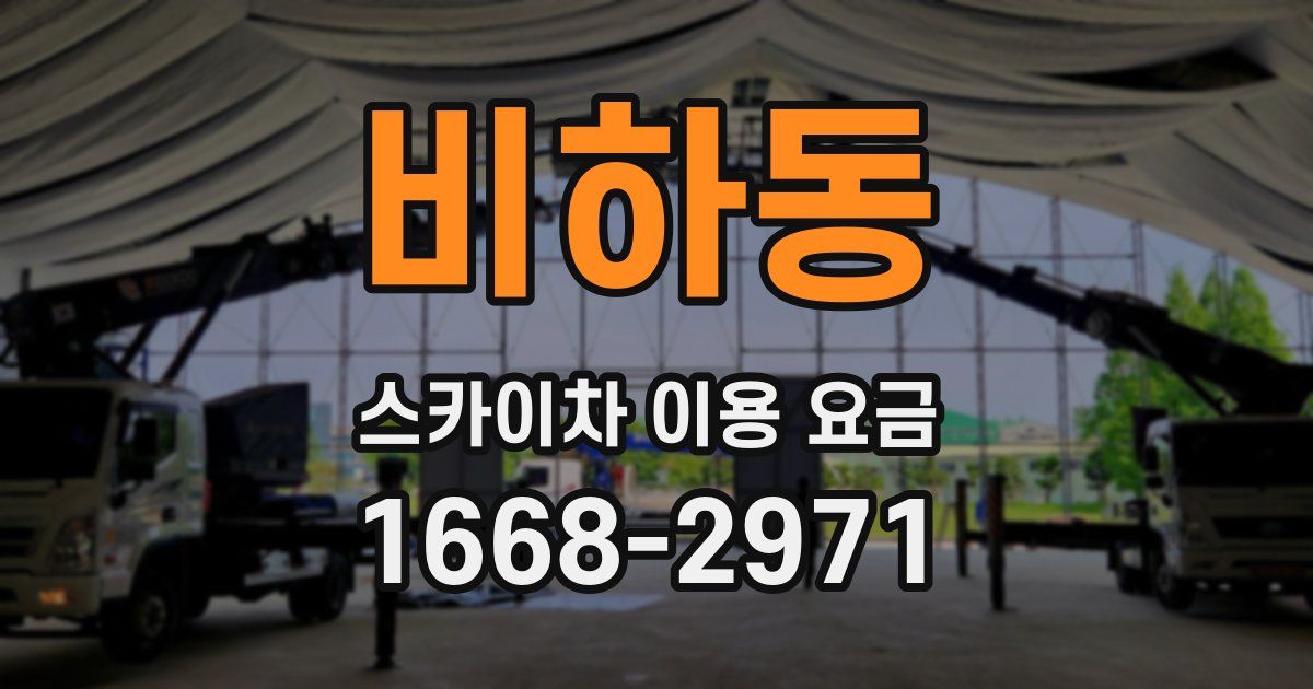 비하동 스카이차 이용 요금