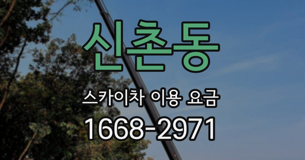 신촌동 스카이차 이용 요금