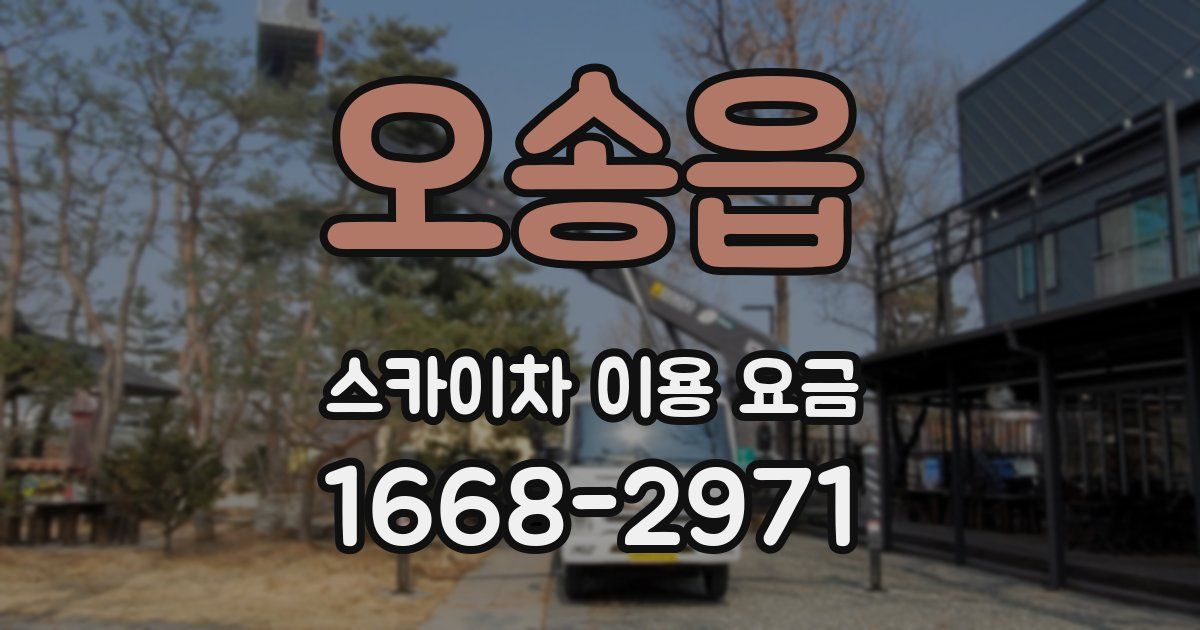 오송읍 스카이차 이용 요금