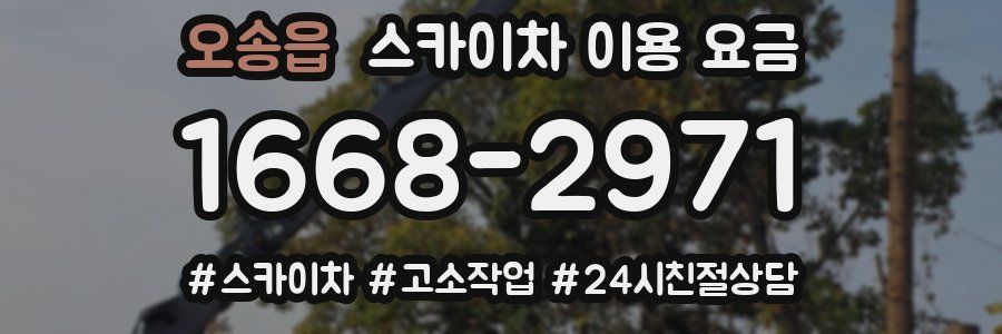 오송읍 스카이차 이용 요금