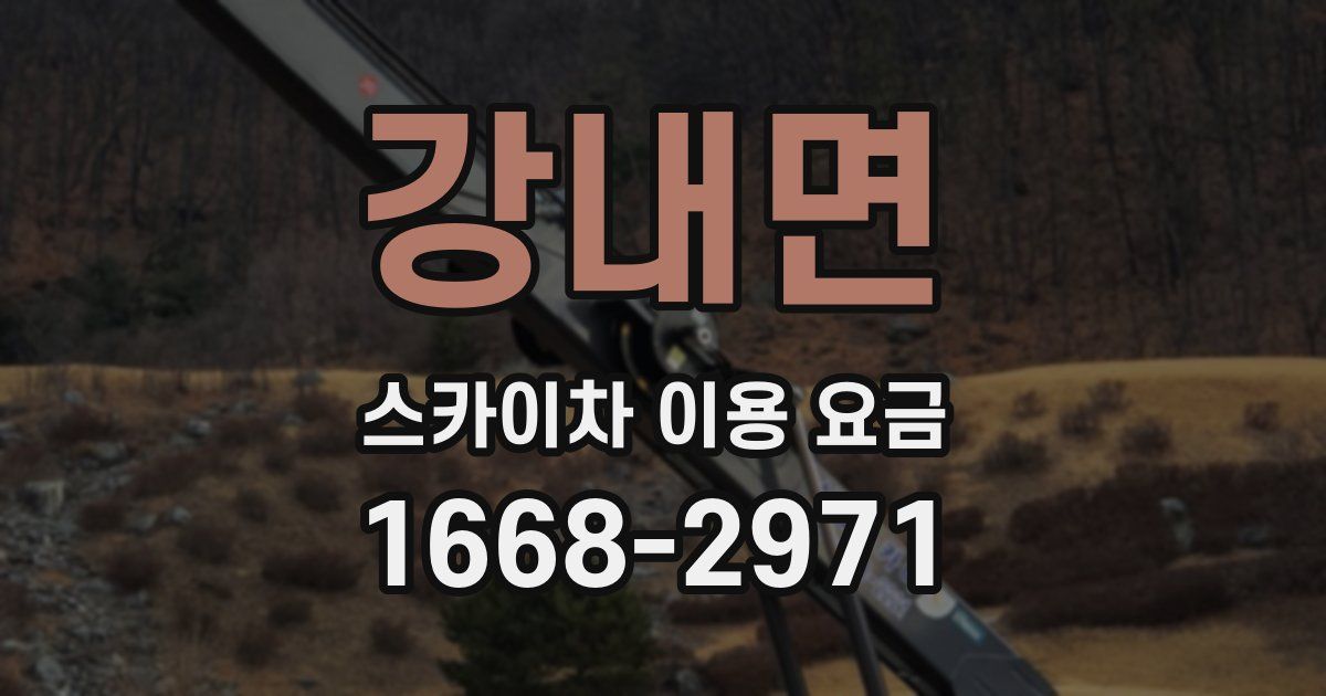 강내면 스카이차 이용 요금