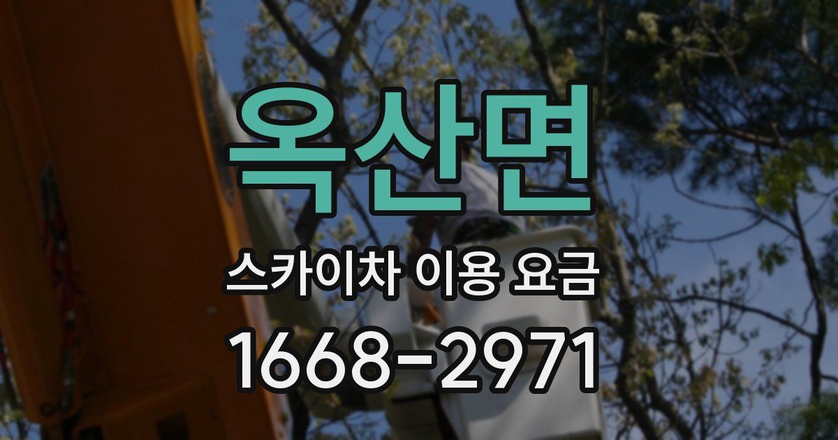 옥산면 스카이차 이용 요금