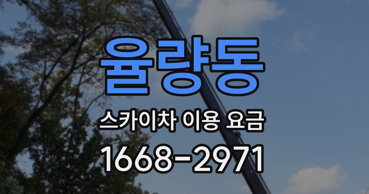 율량동 스카이차 이용 요금