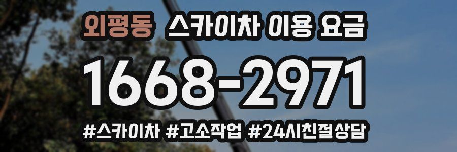 외평동 스카이차 이용 요금