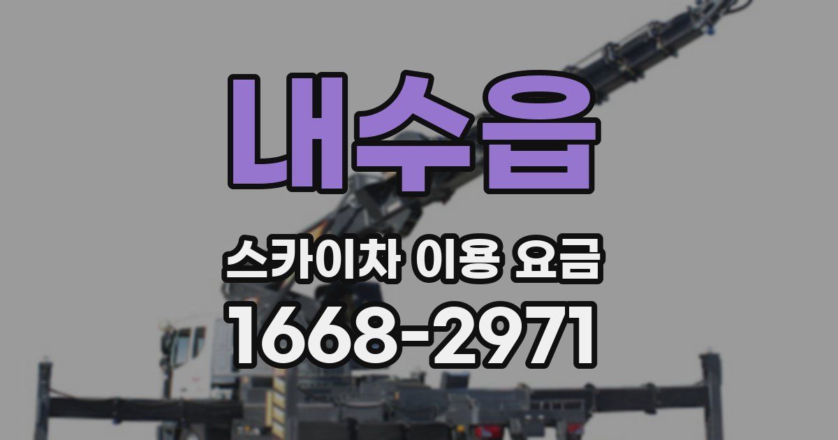 내수읍 스카이차 이용 요금