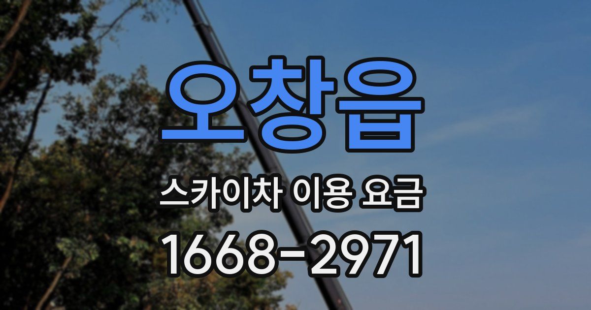 오창읍 스카이차 이용 요금