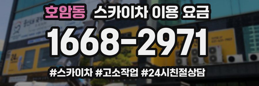 호암동 스카이차 이용 요금