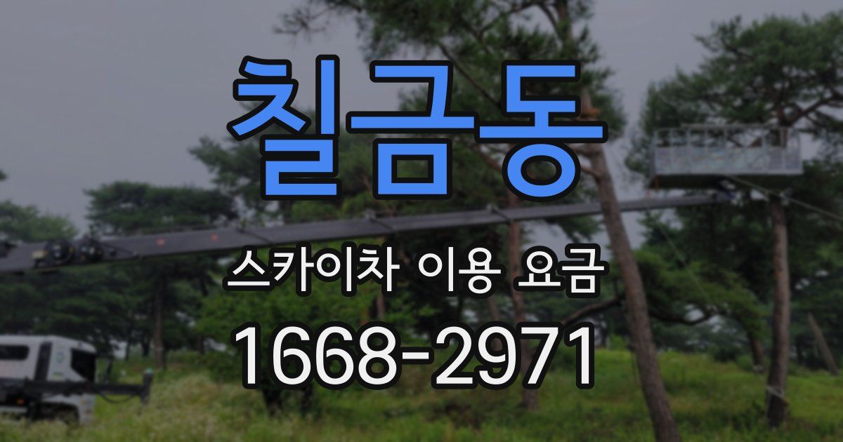 칠금동 스카이차 이용 요금