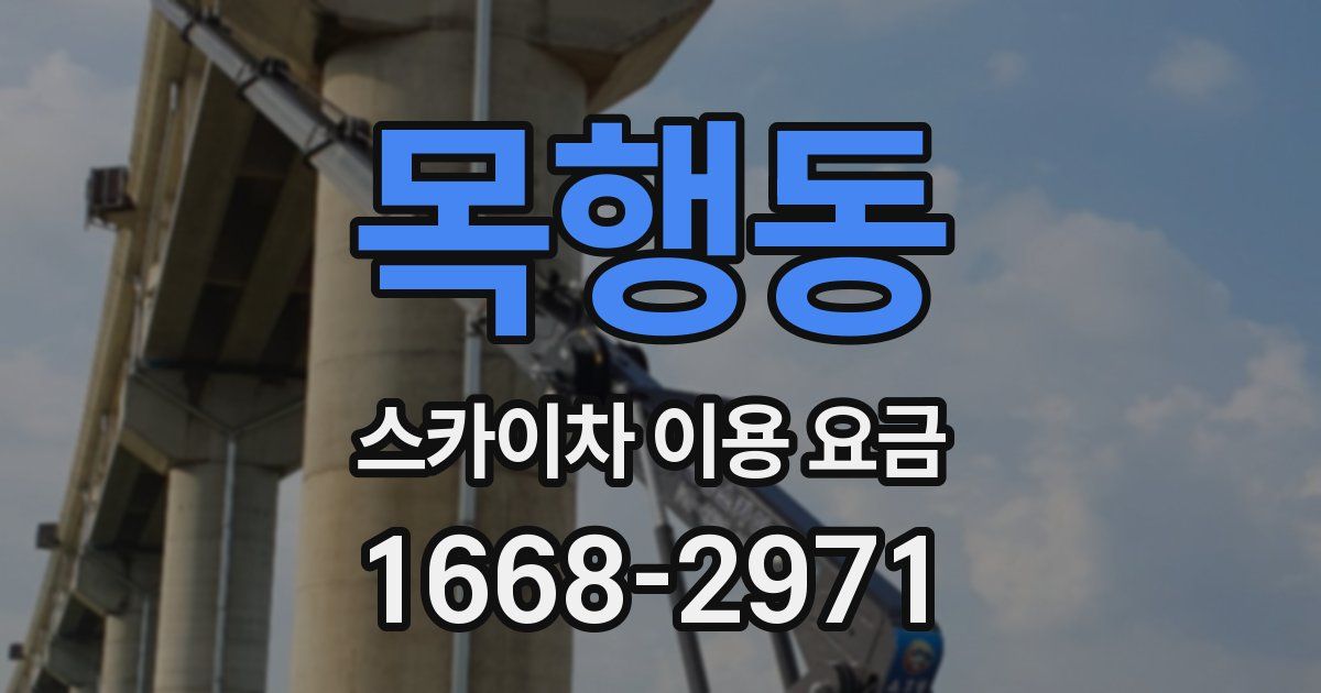 목행동 스카이차 이용 요금