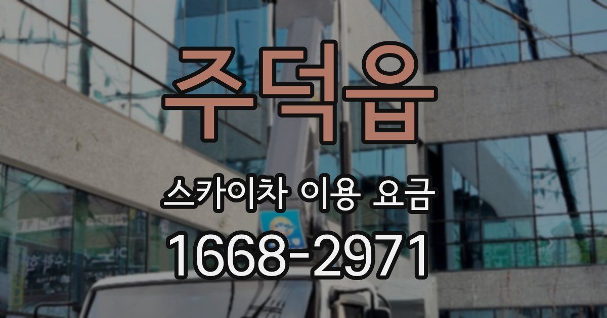 주덕읍 스카이차 이용 요금