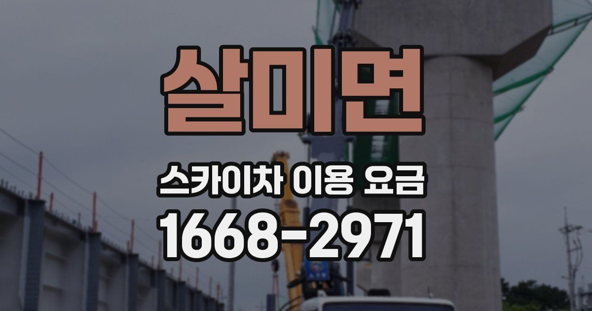 살미면 스카이차 이용 요금