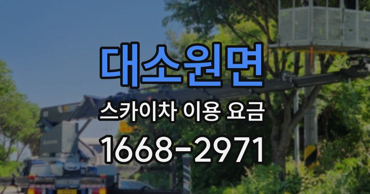 대소원면 스카이차 이용 요금