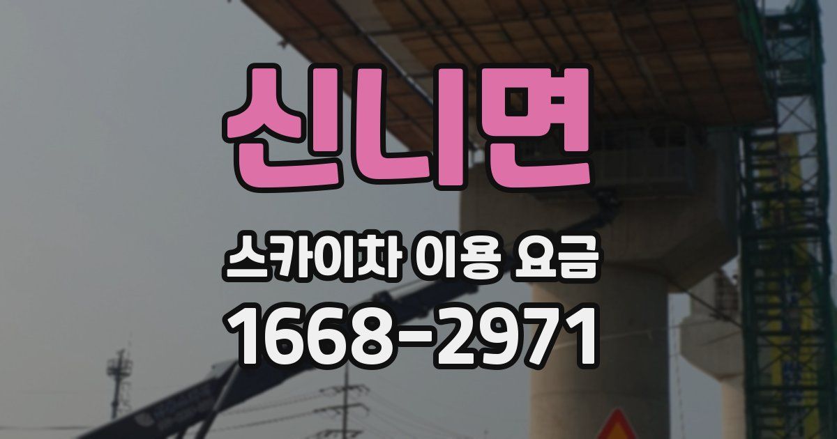 신니면 스카이차 이용 요금