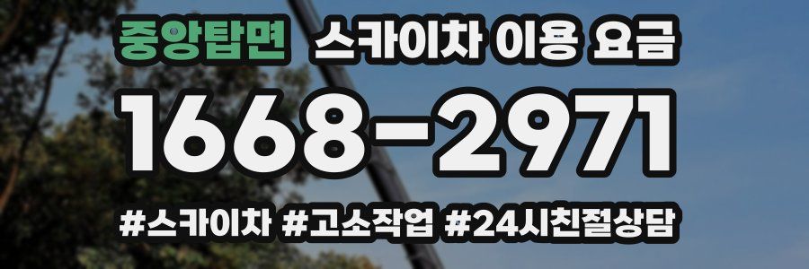 중앙탑면 스카이차 이용 요금
