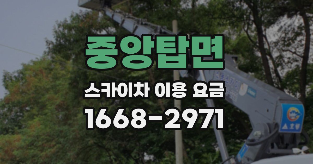 중앙탑면 스카이차 이용 요금