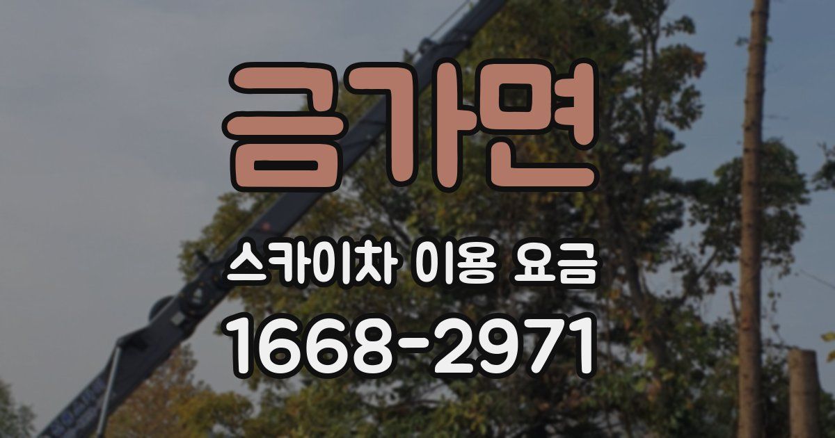 금가면 스카이차 이용 요금