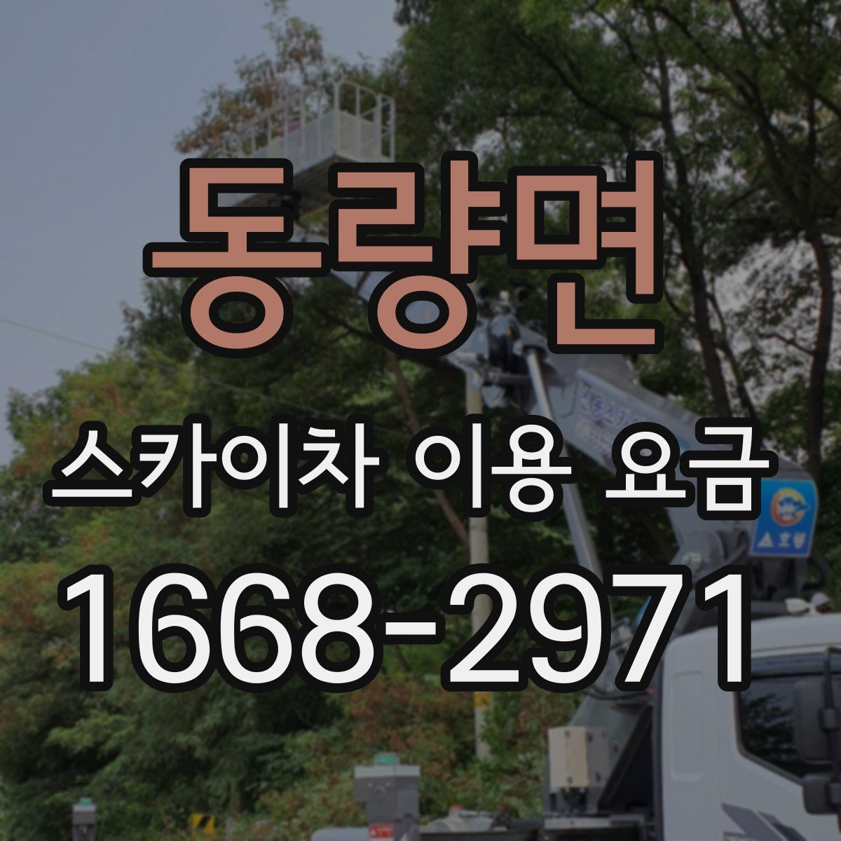 동량면 스카이차 이용 요금