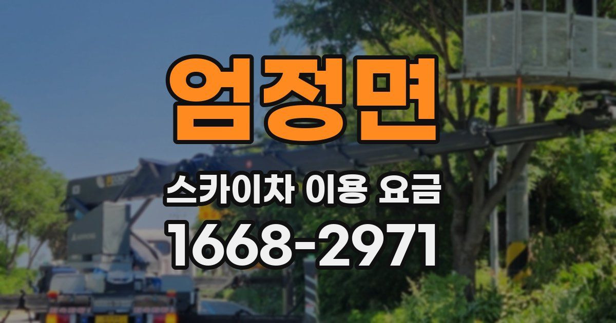 엄정면 스카이차 이용 요금