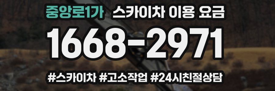 중앙로1가 스카이차 이용 요금