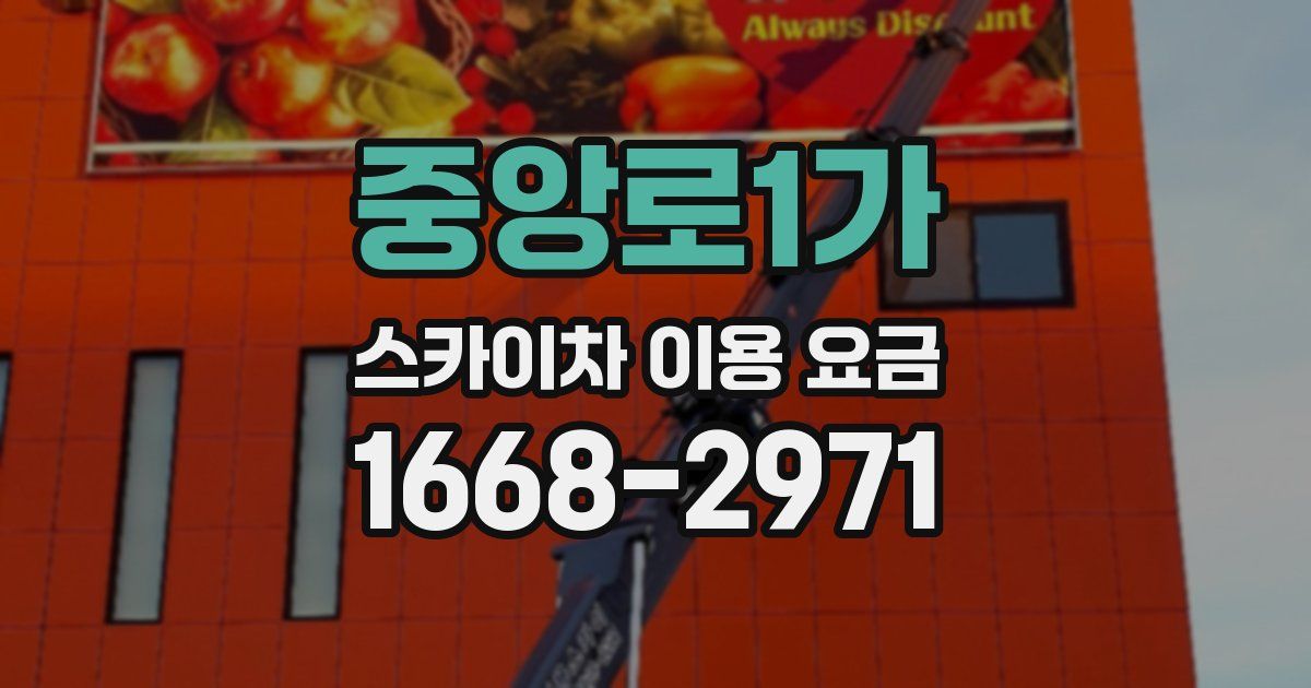 중앙로1가 스카이차 이용 요금