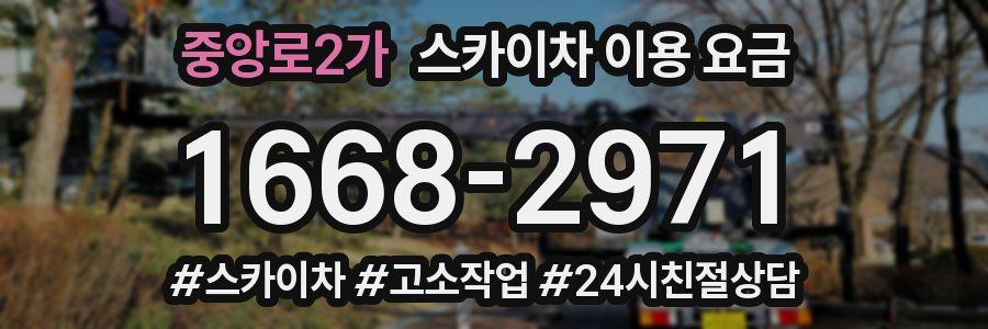 중앙로2가 스카이차 이용 요금