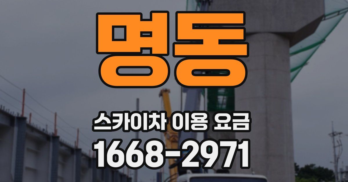 명동 스카이차 이용 요금