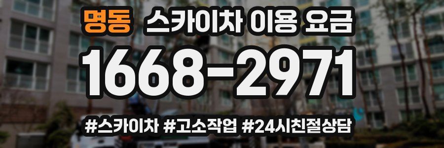 명동 스카이차 이용 요금