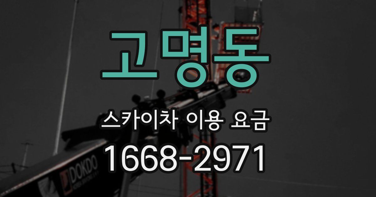 고명동 스카이차 이용 요금