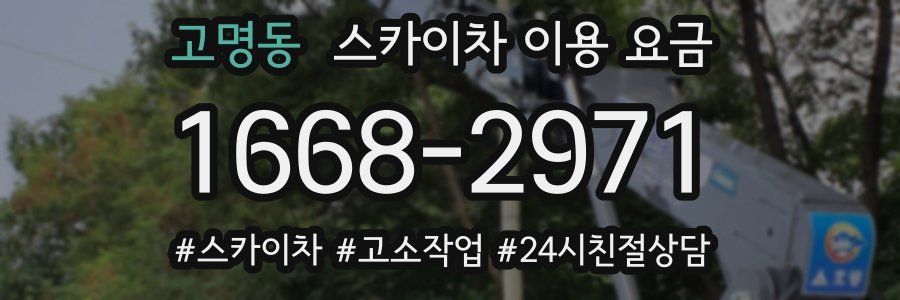 고명동 스카이차 이용 요금