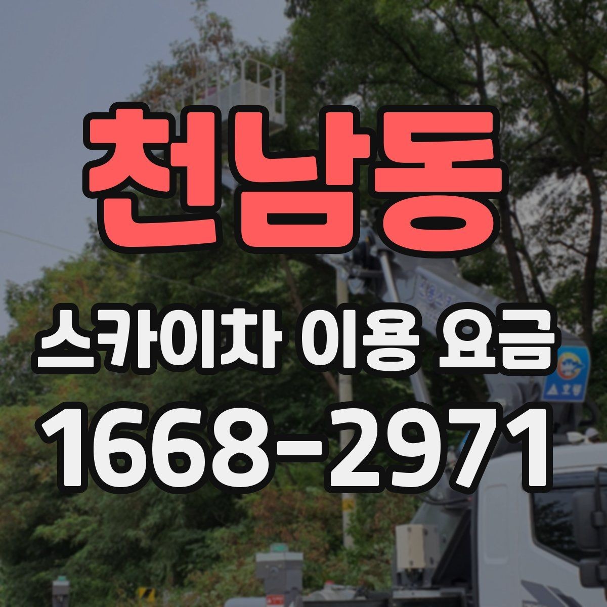 천남동 스카이차 이용 요금 선택 전에 확인할 안전 기준