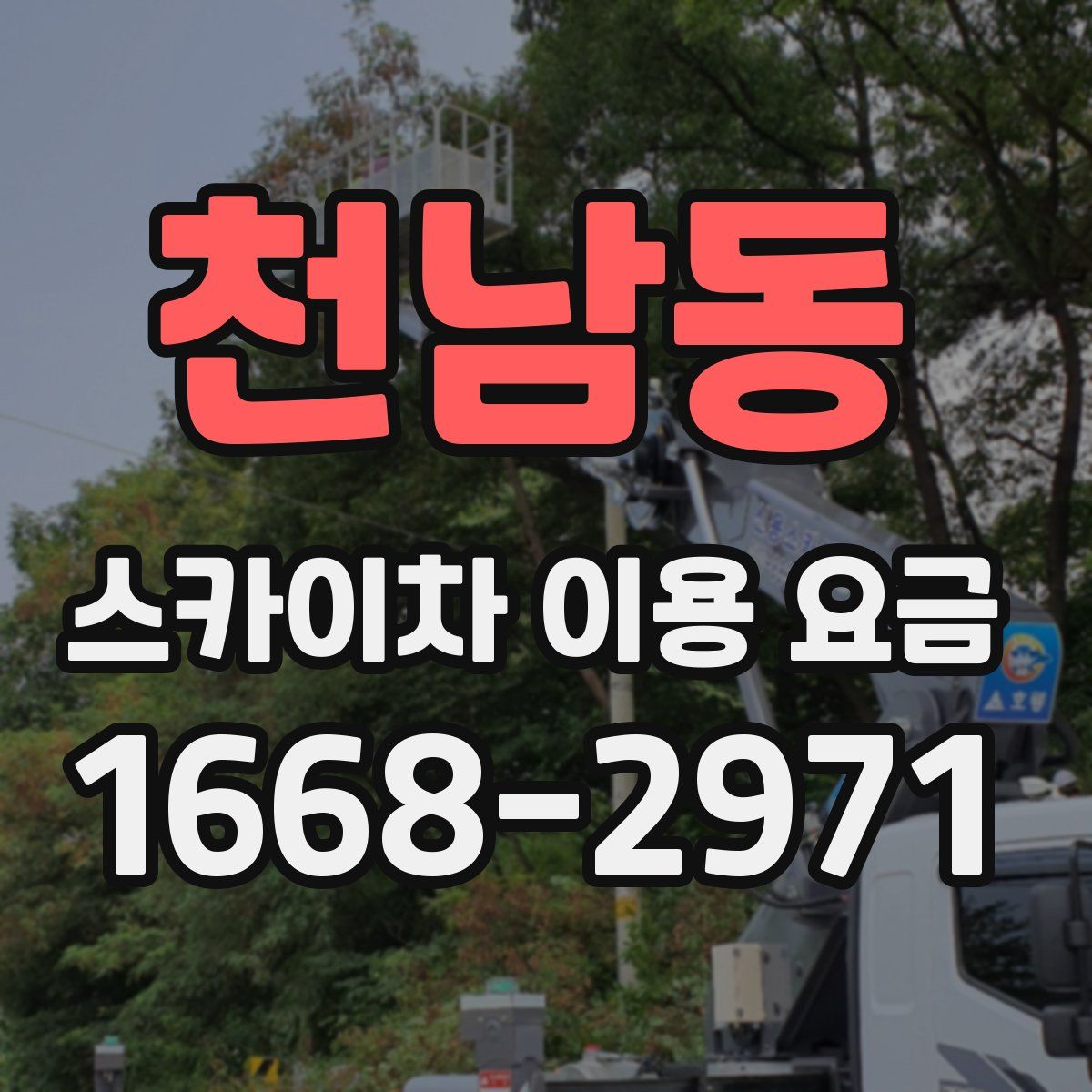 천남동 스카이차 이용 요금