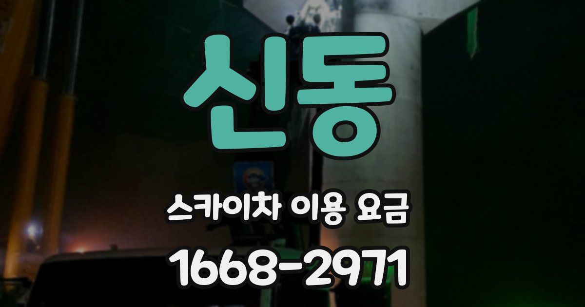 신동 스카이차 이용 요금