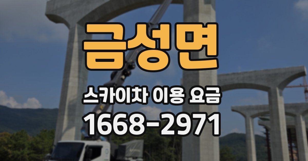 금성면 스카이차 이용 요금