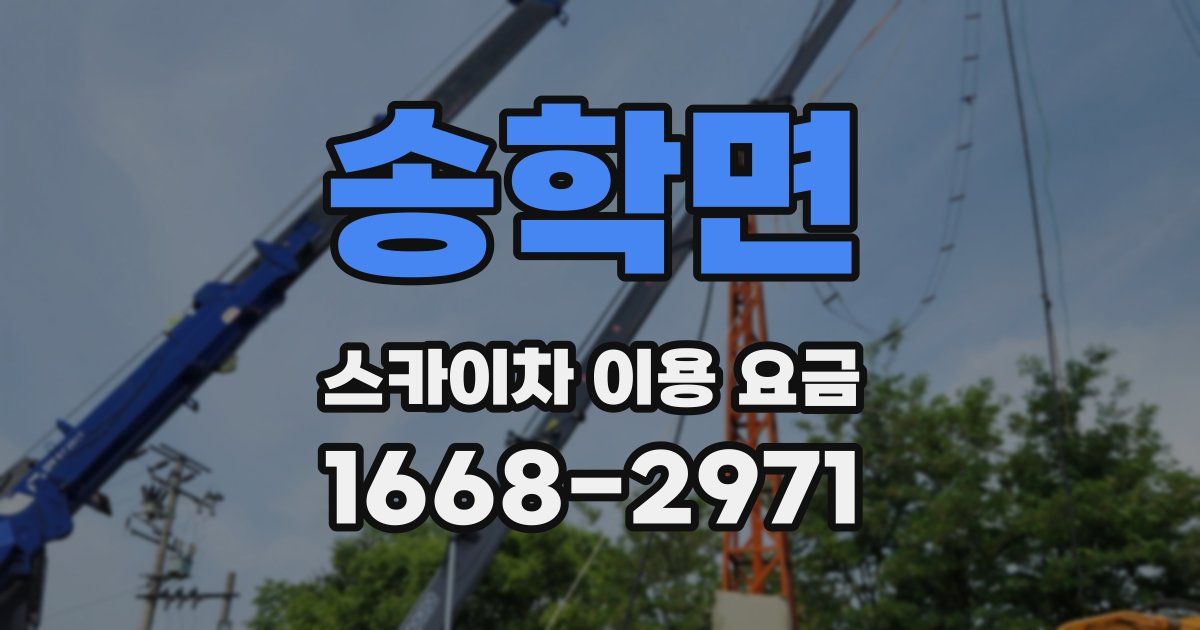 송학면 스카이차 이용 요금