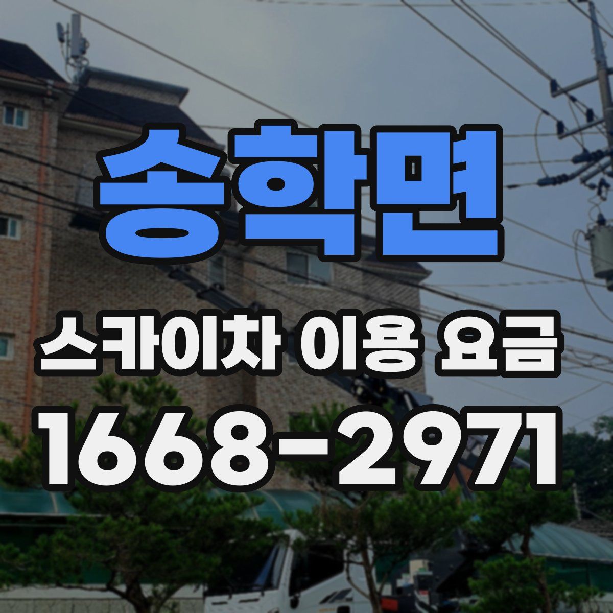 송학면 스카이차 이용 요금