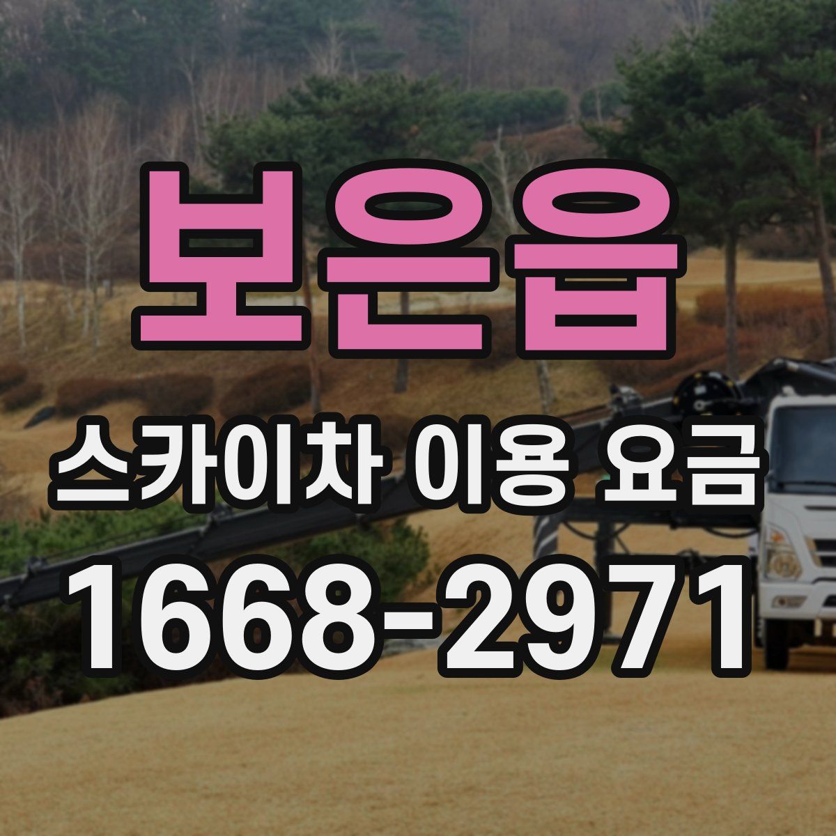 보은읍 스카이차 이용 요금