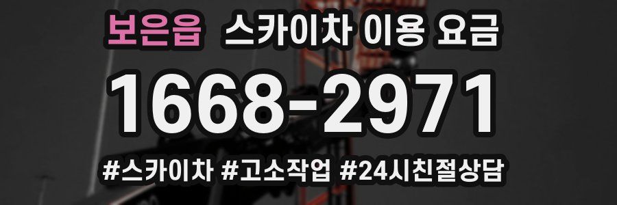 보은읍 스카이차 이용 요금