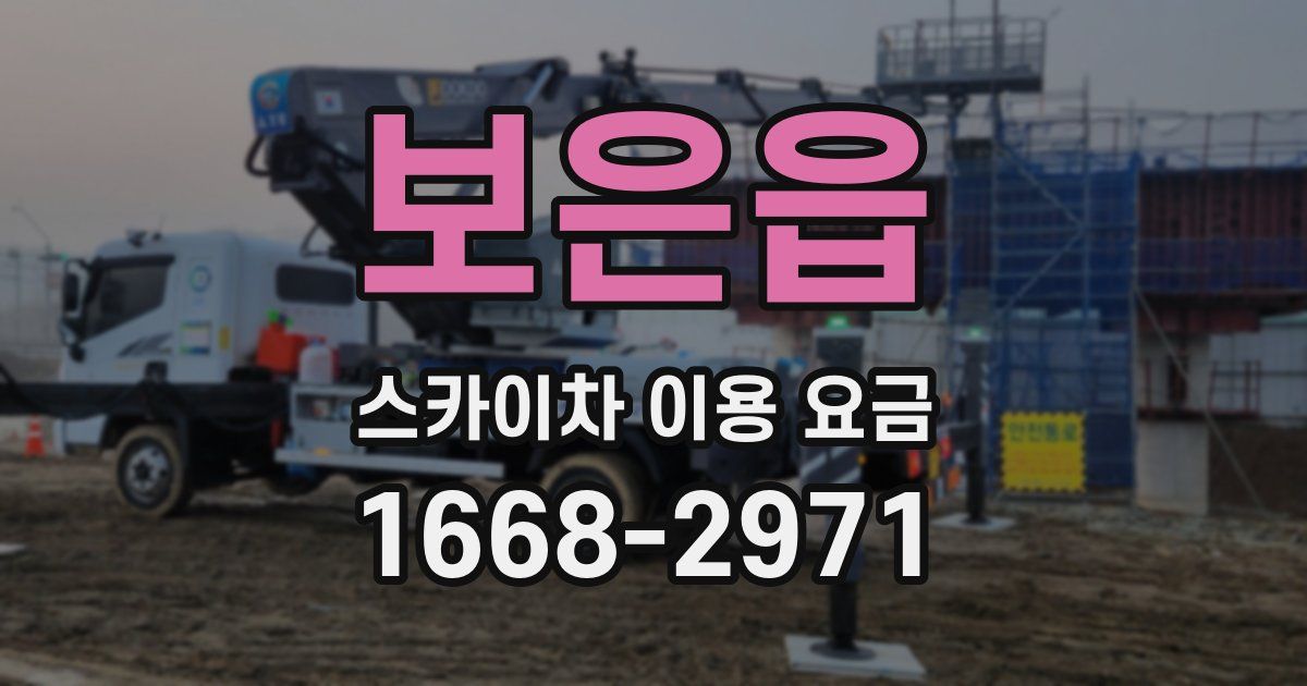 보은읍 스카이차 이용 요금