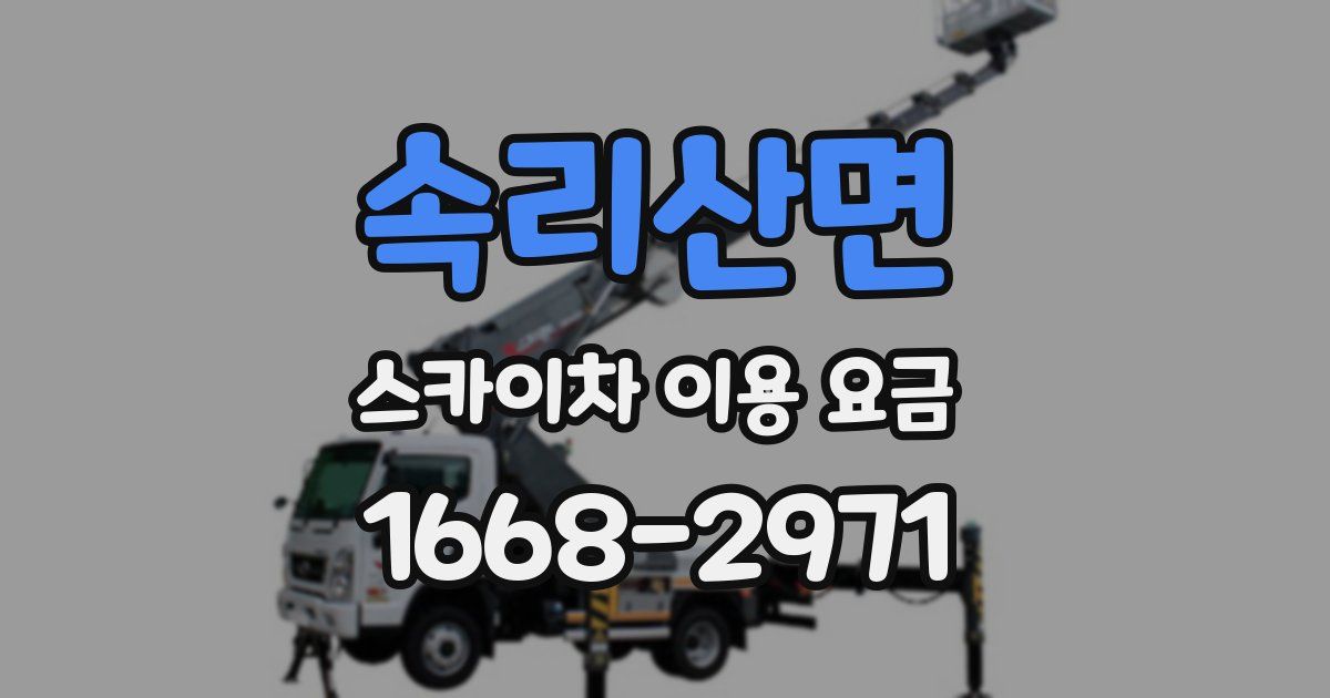 속리산면 스카이차 이용 요금