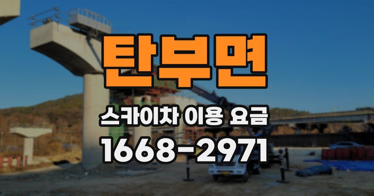 탄부면 스카이차 이용 요금