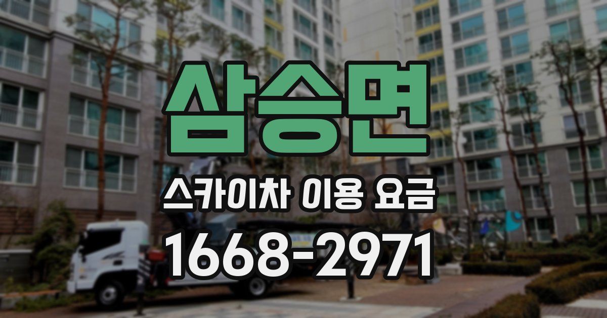 삼승면 스카이차 이용 요금