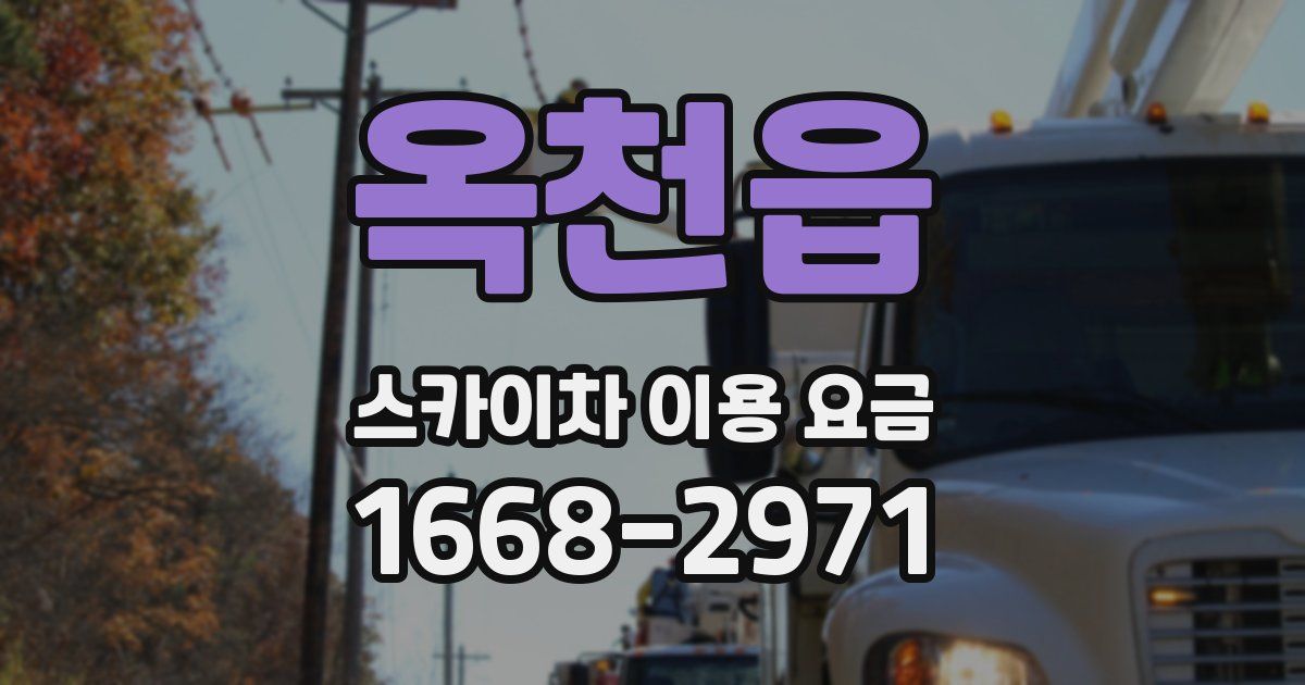 옥천읍 스카이차 이용 요금