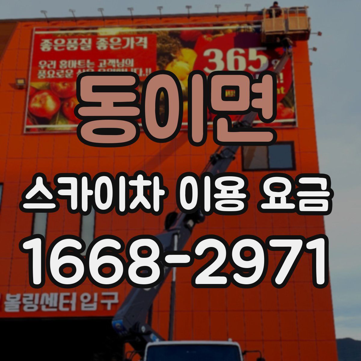 동이면 스카이차 이용 요금