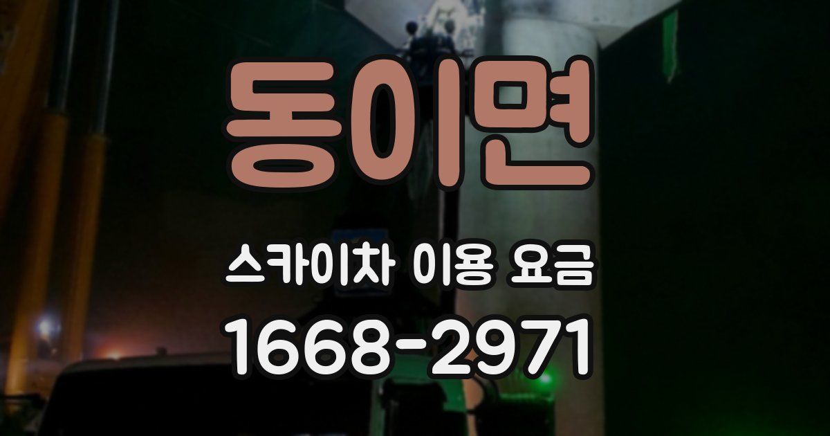 동이면 스카이차 이용 요금